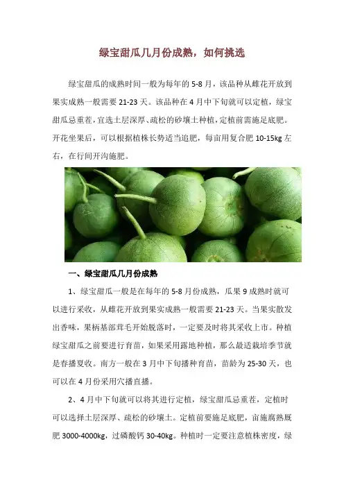 绿宝甜瓜几月份成熟,如何挑选
