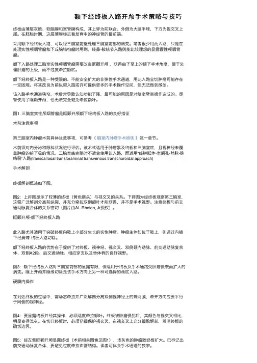 额下经终板入路开颅手术策略与技巧
