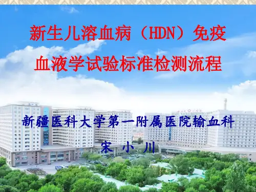 新生儿溶血病(HDN)免疫血液学试验标准检测流程宋小川