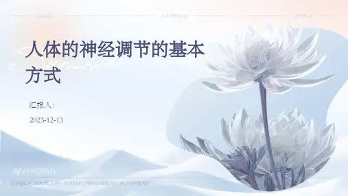 人体的神经调节的基本方式