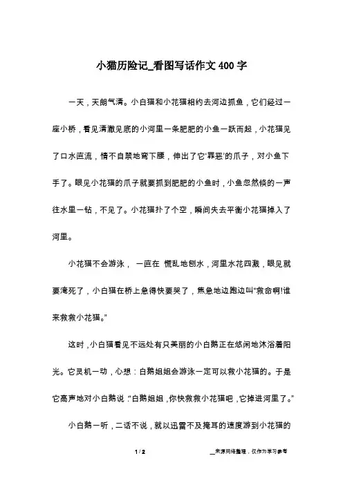 小猫历险记_看图写话作文400字