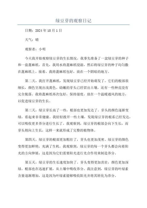 绿豆芽的观察日记