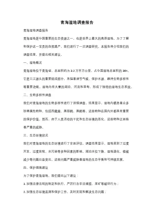 青海湿地调查报告