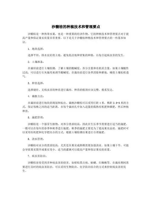 沙糖桔的种植技术和管理要点