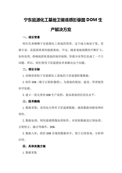 宁东能源化工基地卫星遥感影像图DOM生产解决方案