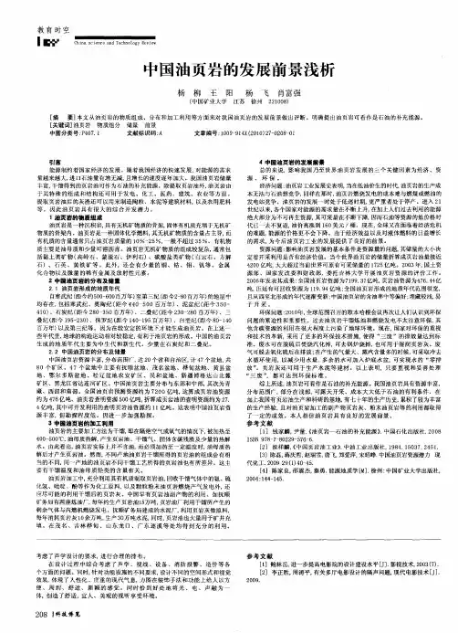 中国油页岩的发展前景浅析