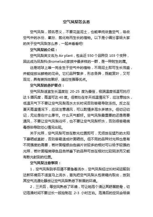 空气凤梨怎么养