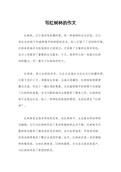 写红树林的作文