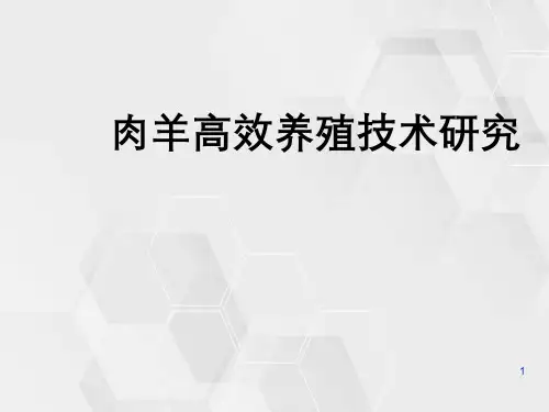 肉羊高效养殖技术研究
