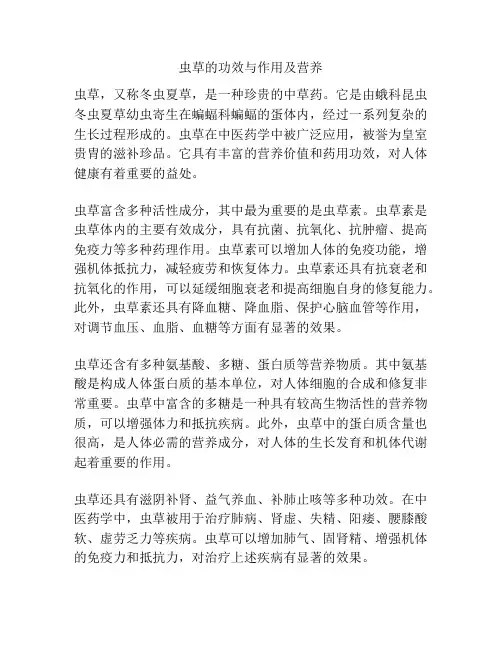 虫草的功效与作用及营养