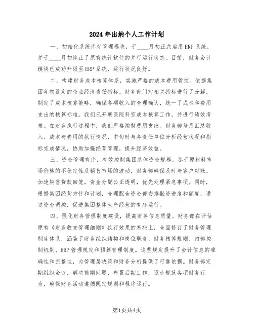 2024年出纳个人工作计划（二篇）