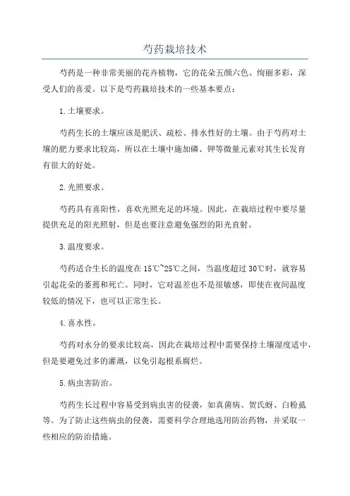 芍药栽培技术