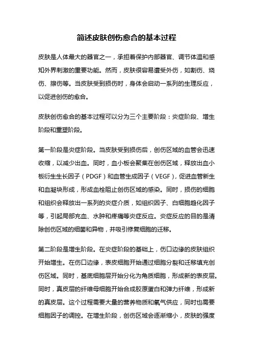 简述皮肤创伤愈合的基本过程