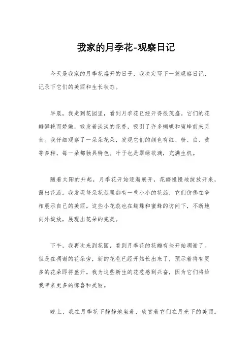 我家的月季花-观察日记