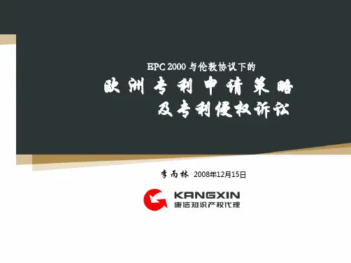 欧洲专利申请策略及专利诉讼