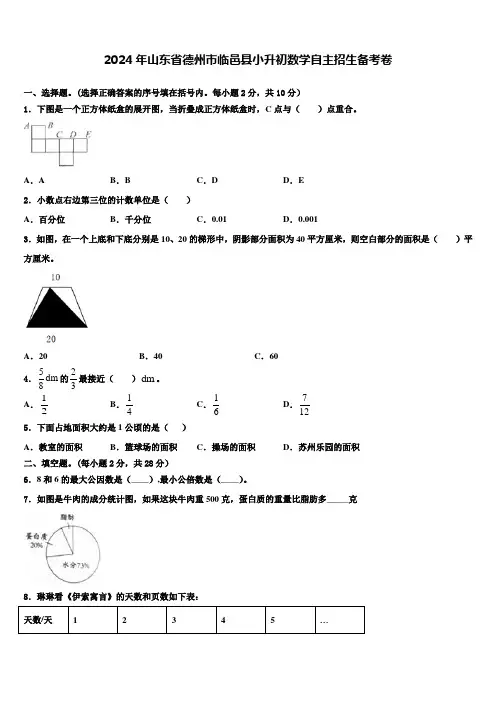 2024年山东省德州市临邑县小升初数学自主招生备考卷含解析