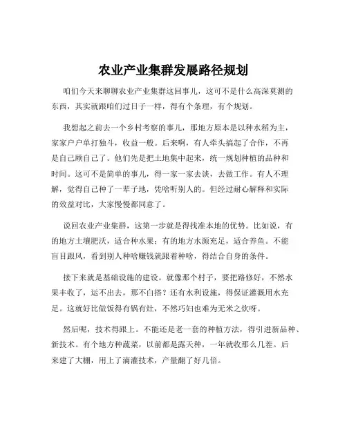 农业产业集群发展路径规划