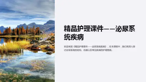 《精品护理课件——泌尿系统疾病》