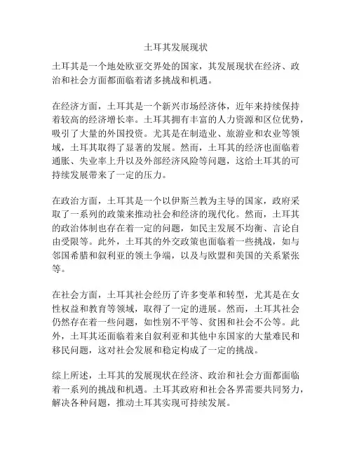 土耳其发展现状