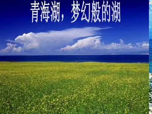 《青海湖梦幻般的湖》精品PPT课件