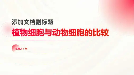 植物细胞与动物细胞的比较