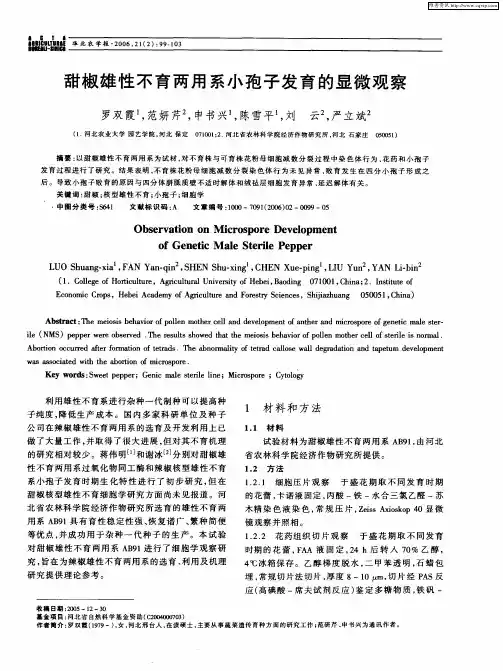 甜椒雄性不育两用系小孢子发育的显微观察