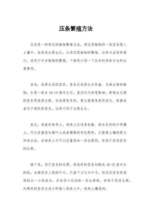 压条繁殖方法