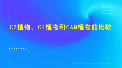 C3植物、C4植物和CAM植物的比较