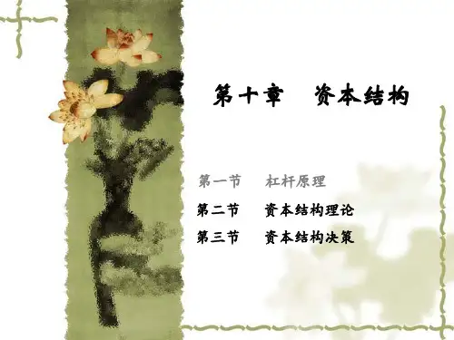 财务管理：12资本结构(二)