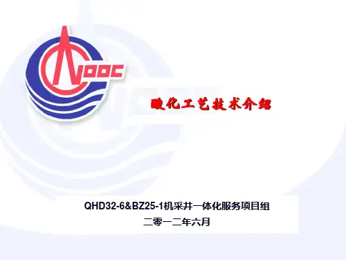 酸化工艺技术介绍讲解