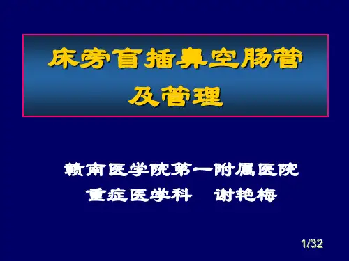 鼻胃肠管盲插方法及管理201322 ppt课件