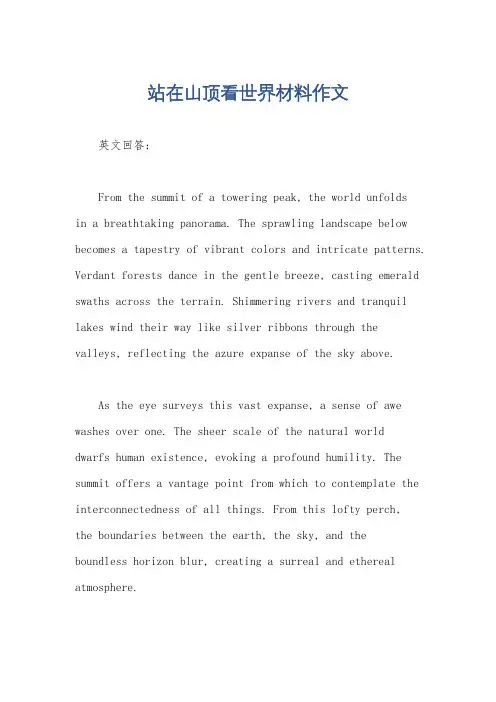 站在山顶看世界材料作文