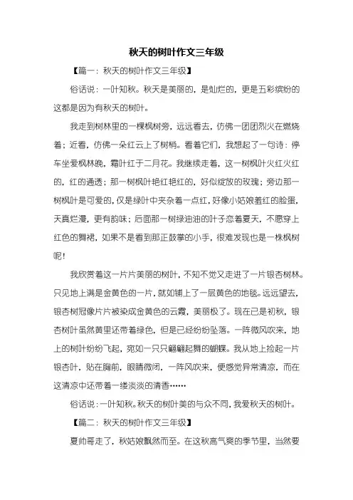 三年级作文：秋天的树叶作文三年级