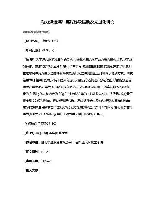 动力煤选煤厂煤泥梯级提质及无量化研究