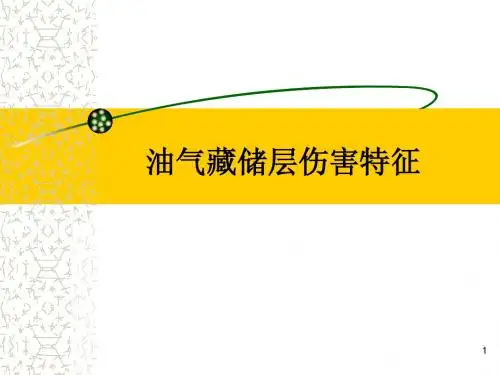 06 储层伤害特征