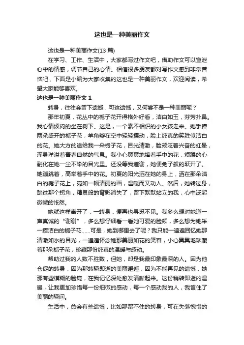 这也是一种美丽作文（13篇）