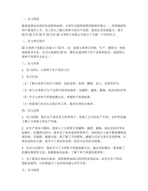 玉米种子的实习报告