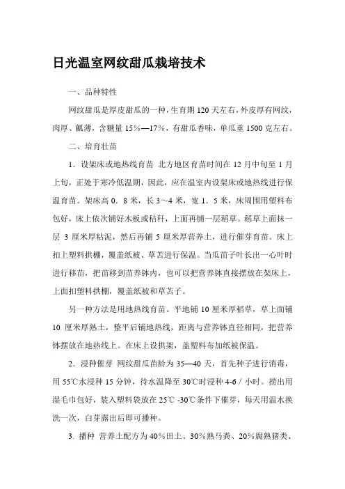 日光温室网纹甜瓜栽培技术