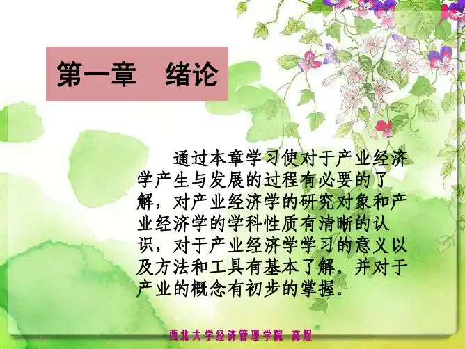 产业经济学第一章