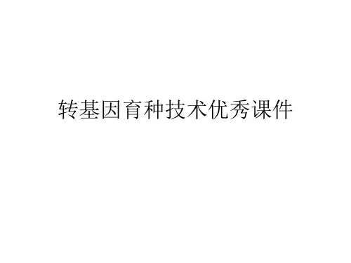 转基因育种技术优秀课件