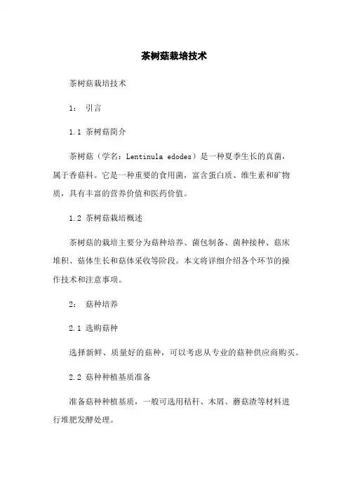 茶树菇栽培技术