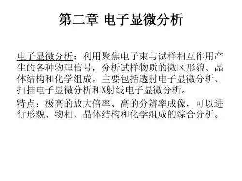 10 电子显微分析