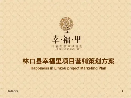 项目营销策划方案PPT幻灯片