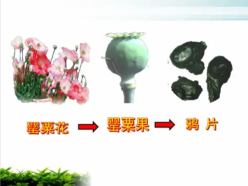 岳麓版高中历史必修一第四单元鸦片战争完美课件