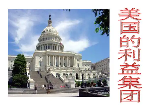 利益集团PPT课件