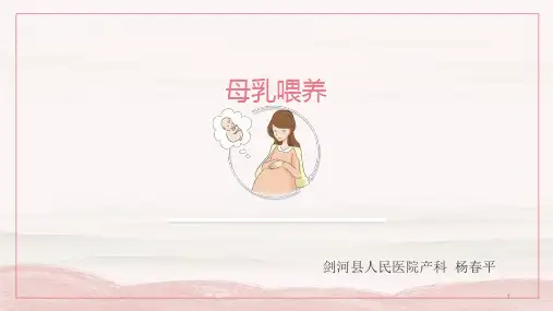 母乳喂养PPT课件