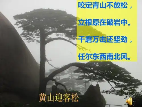 【初中生物】根的结构和功能(一)PPT课件