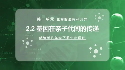 《基因在亲子代间的传递》PPT课件
