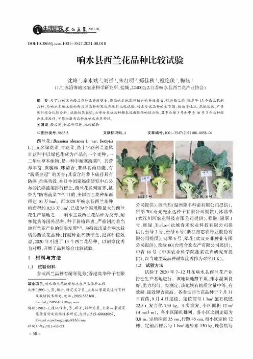 响水县西兰花品种比较试验