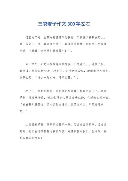 三袋麦子作文300字左右
